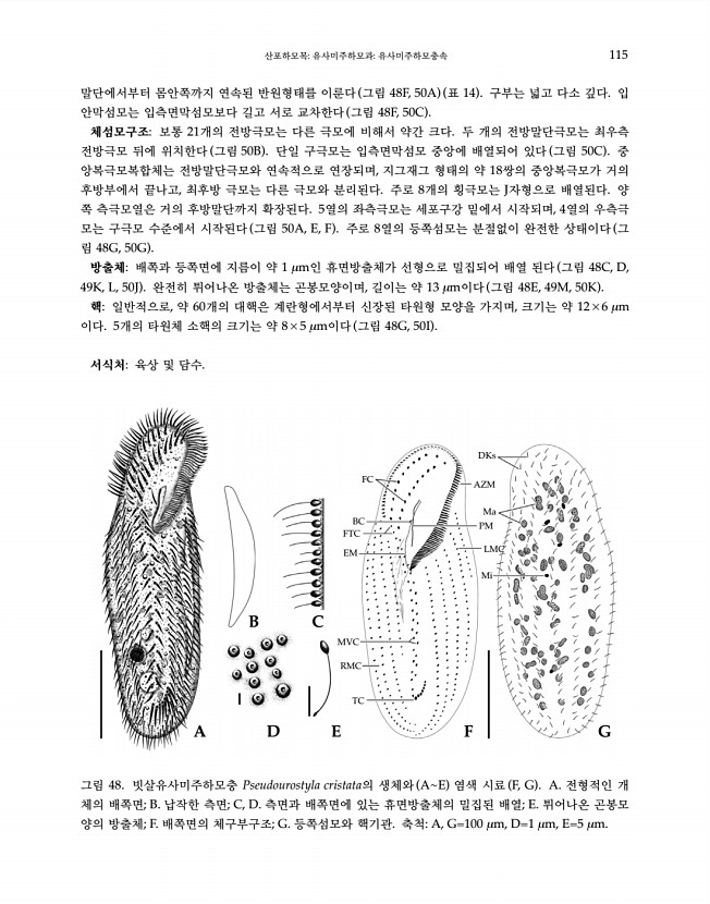 115페이지