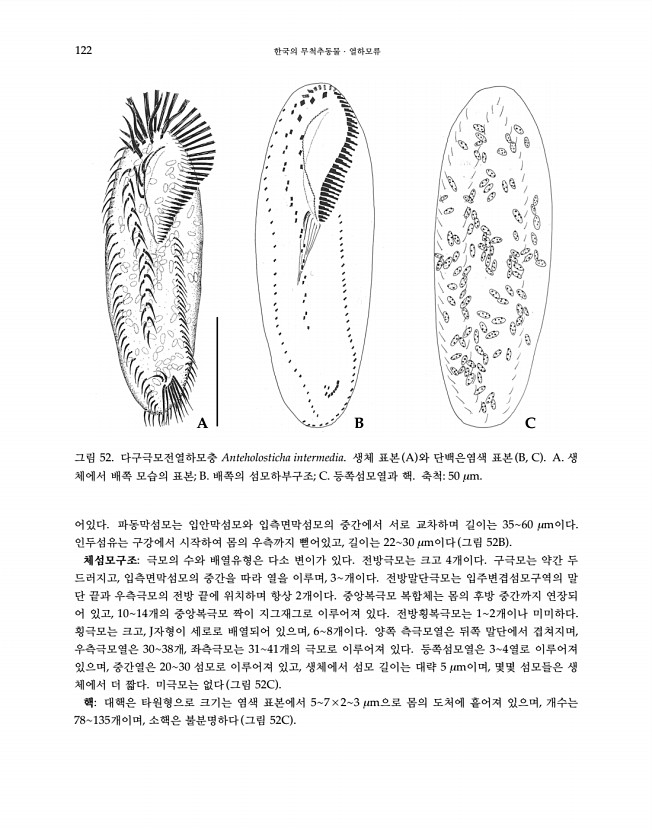 122페이지