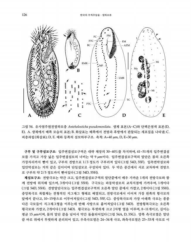 126페이지