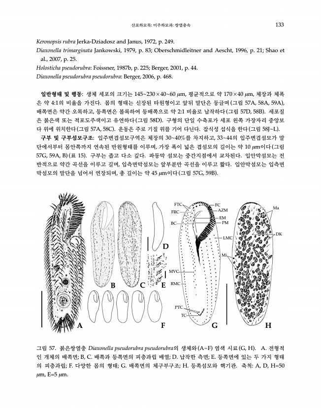 133페이지