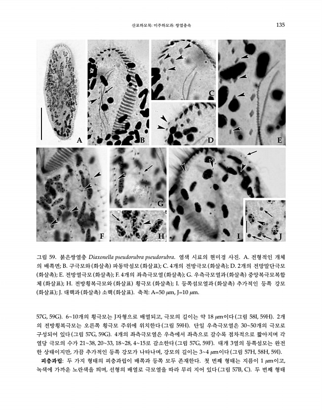 135페이지