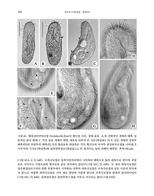 142페이지