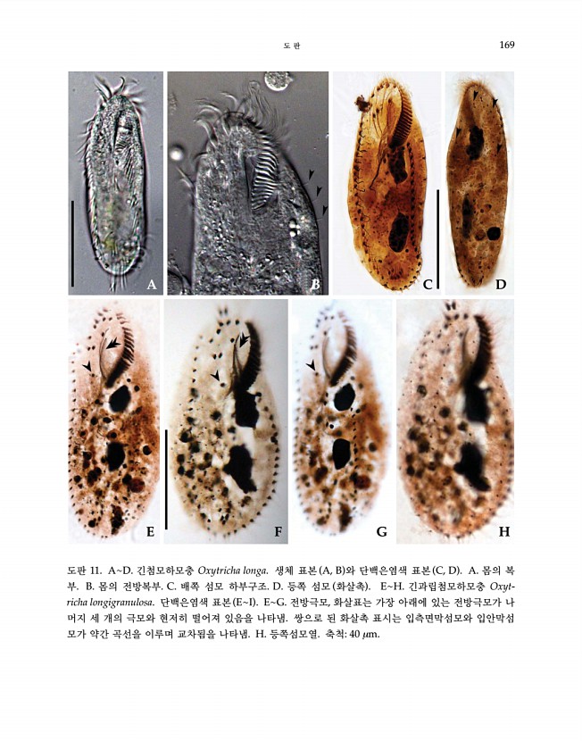 169페이지