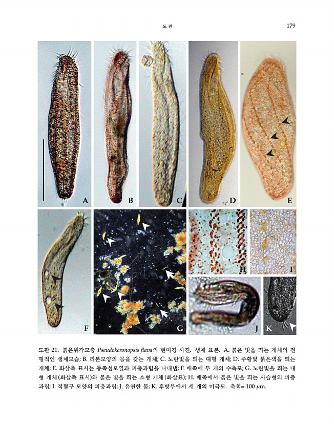 179페이지