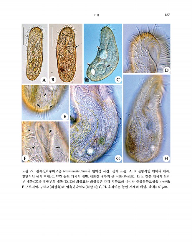 187페이지