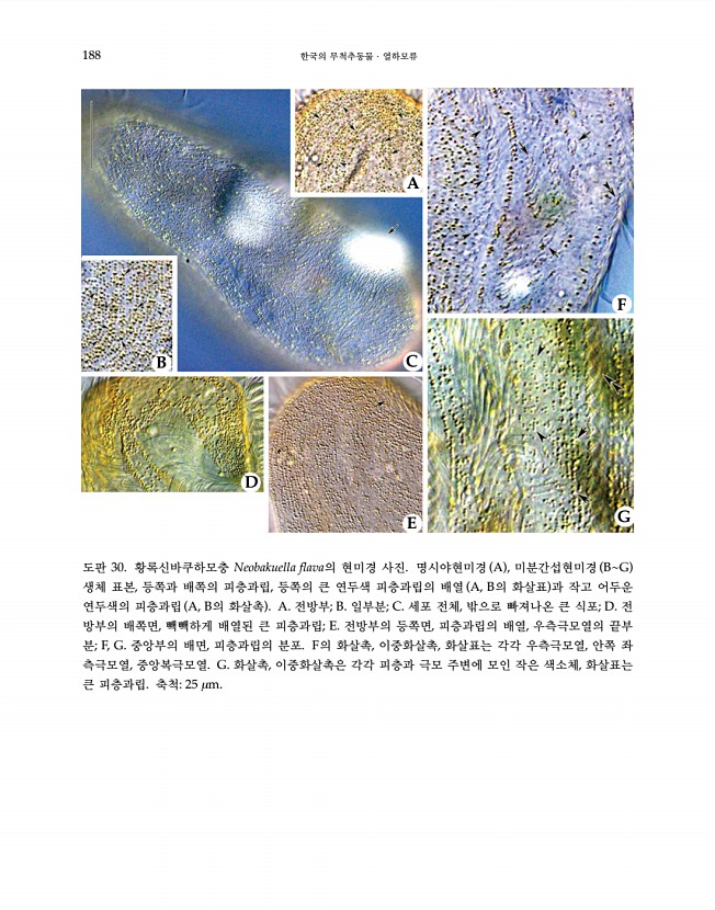 188페이지