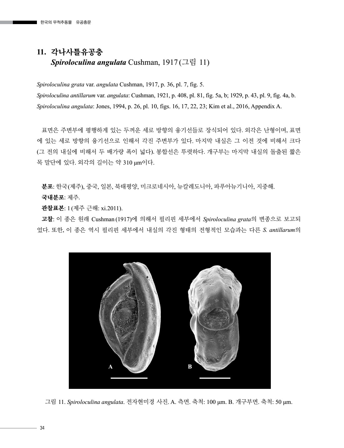 페이지
