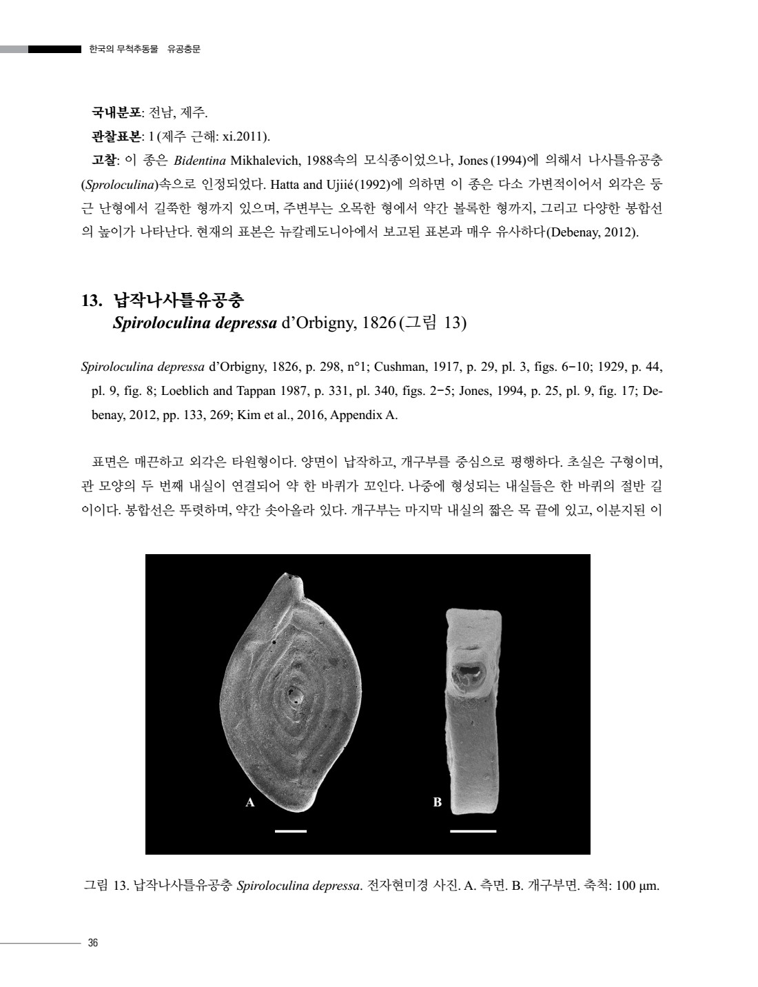 페이지