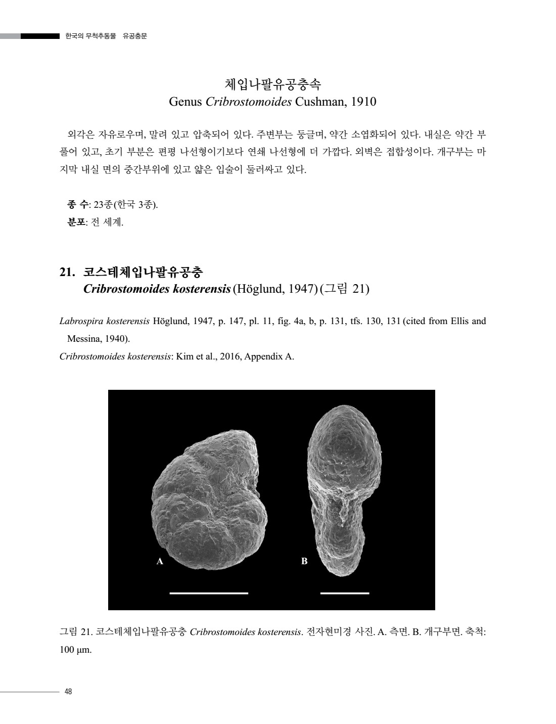 페이지
