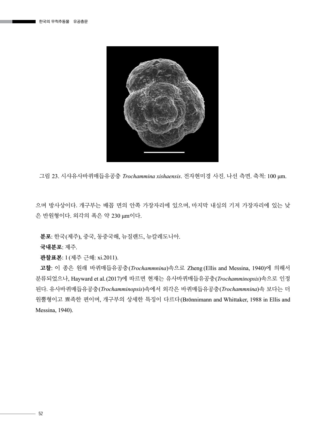 페이지