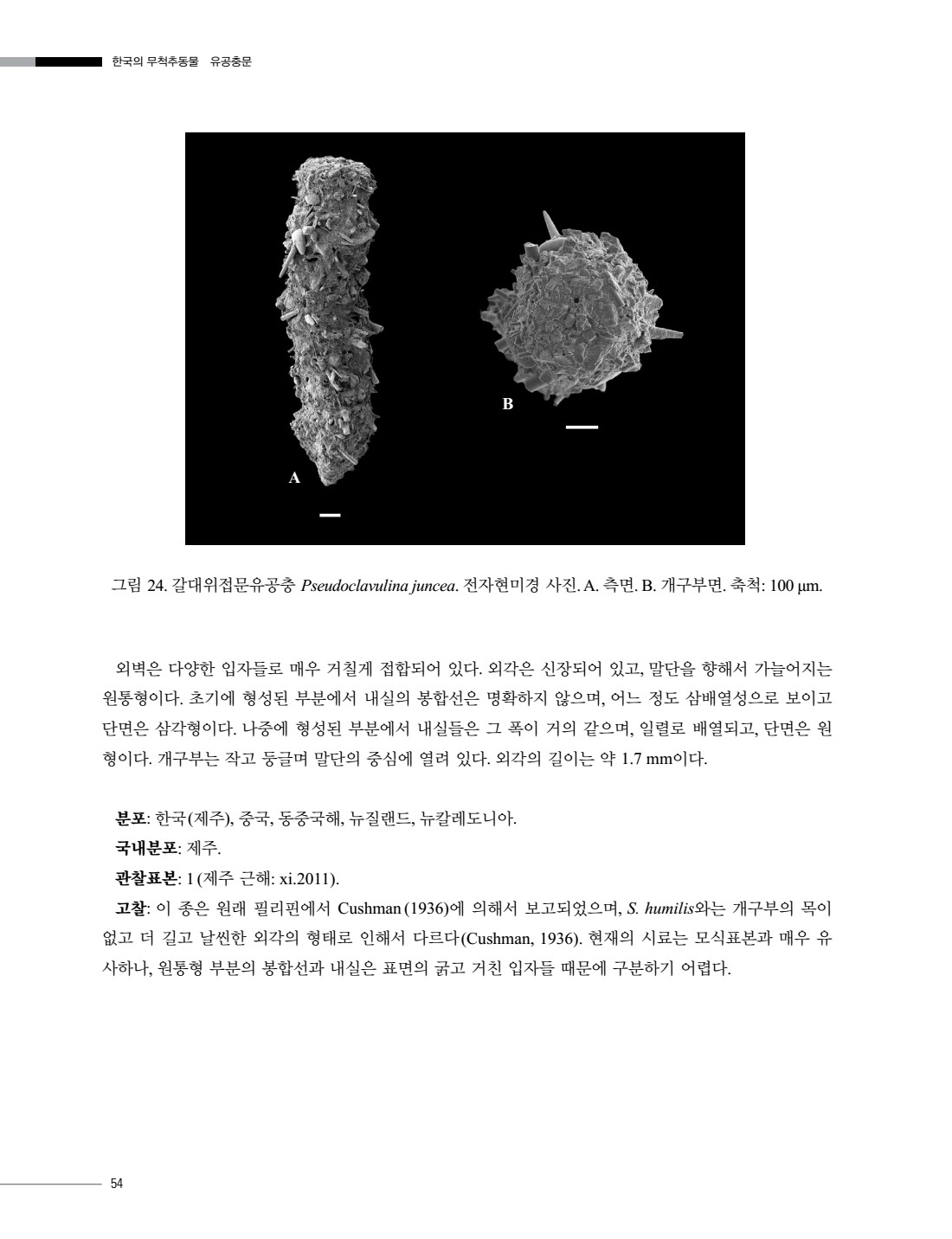 페이지