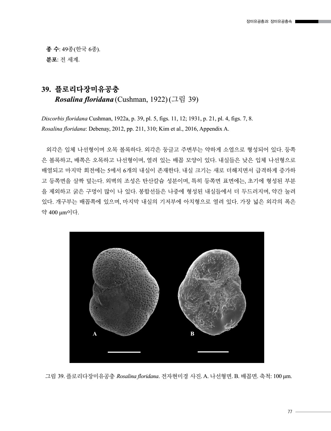페이지