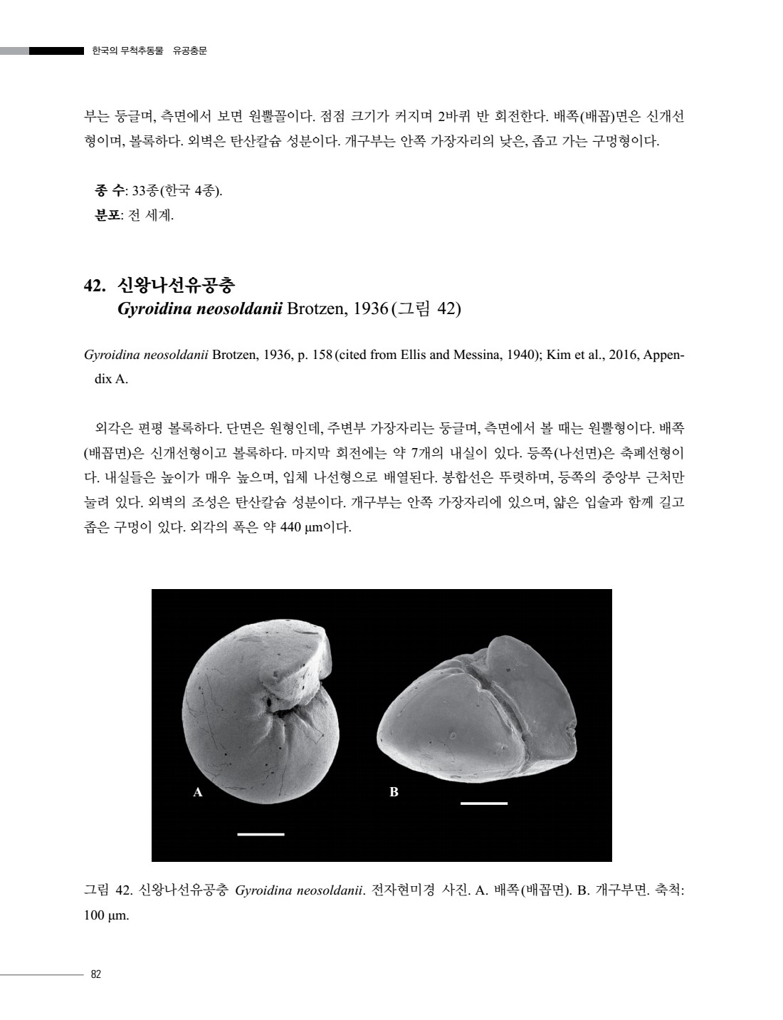 페이지