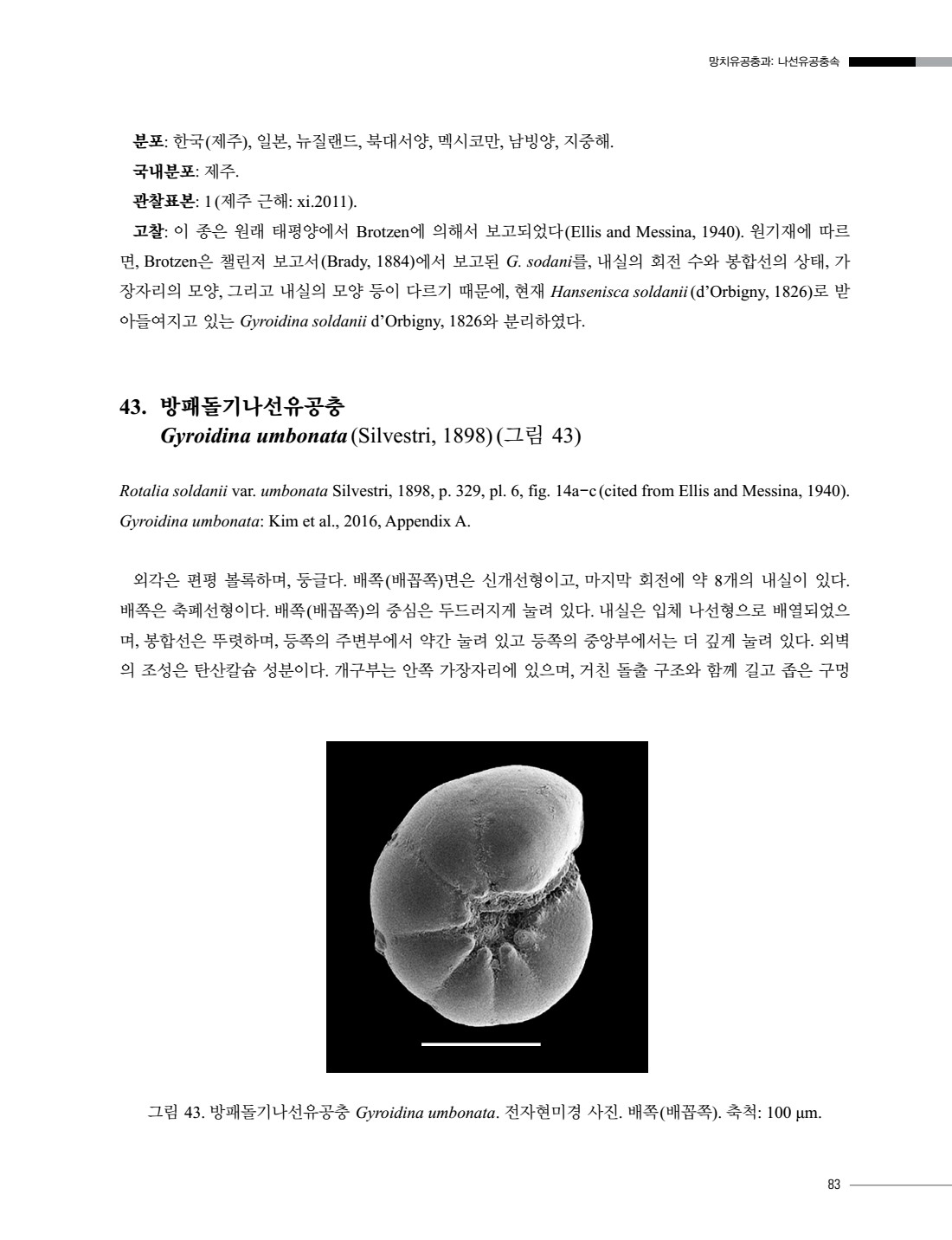 페이지