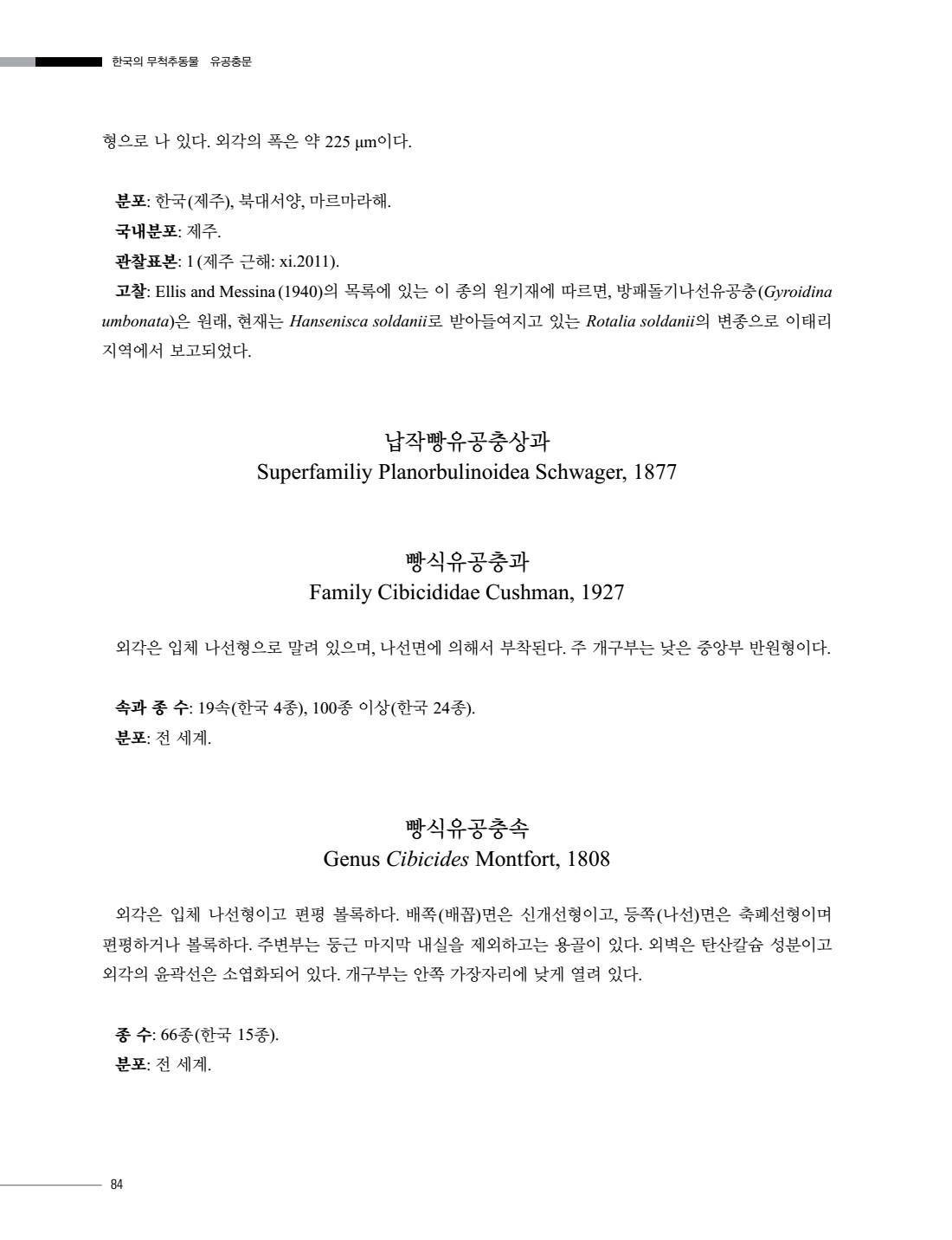 페이지