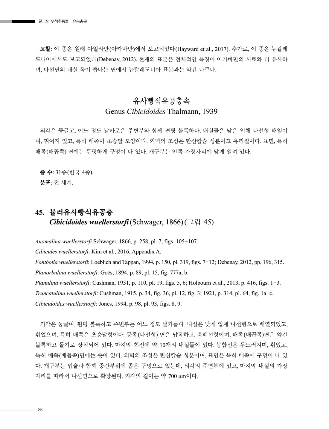 페이지