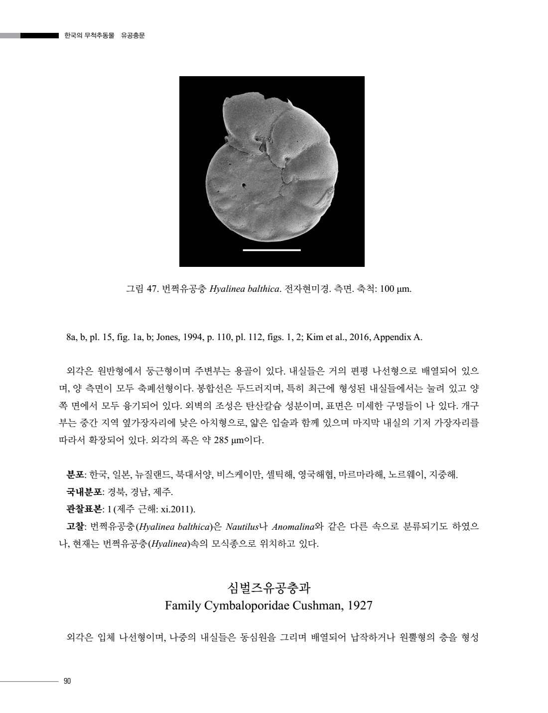페이지