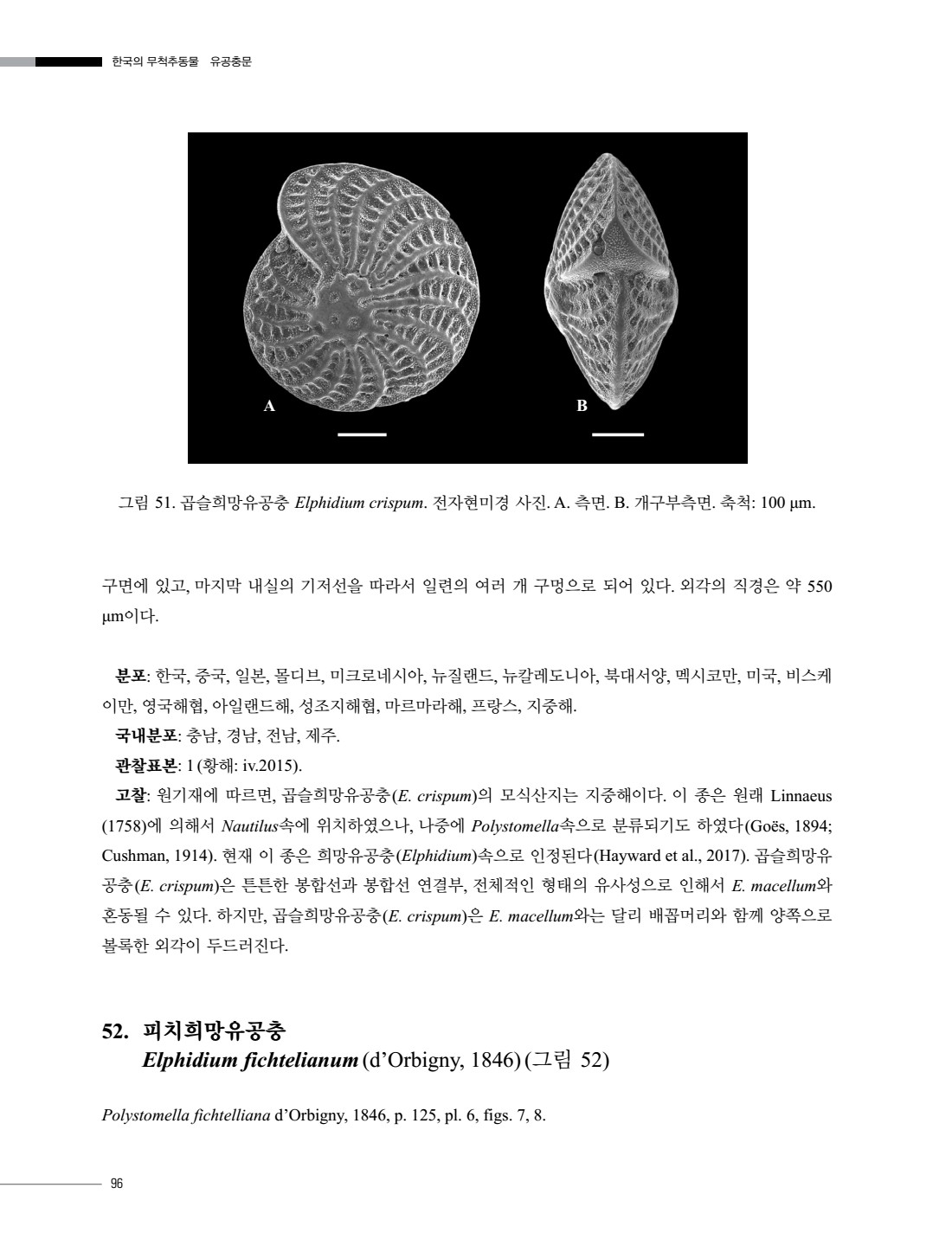 페이지