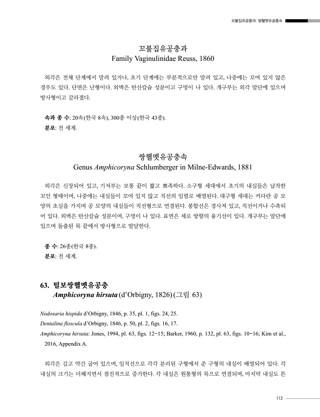 페이지