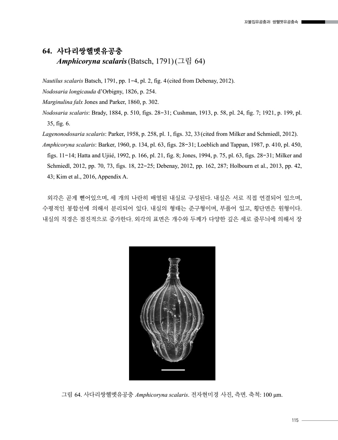 페이지