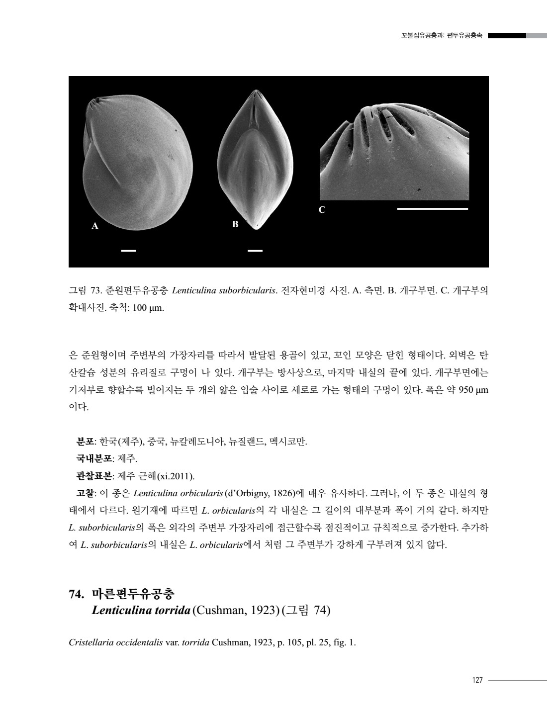 페이지