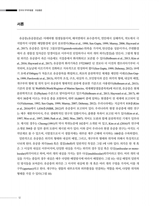 12페이지