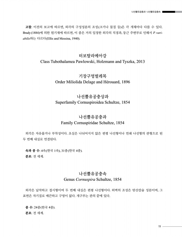 19페이지