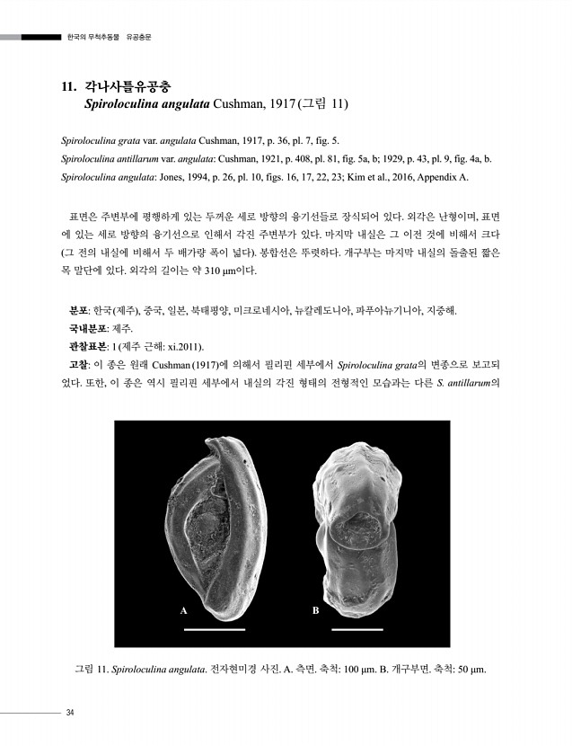 34페이지