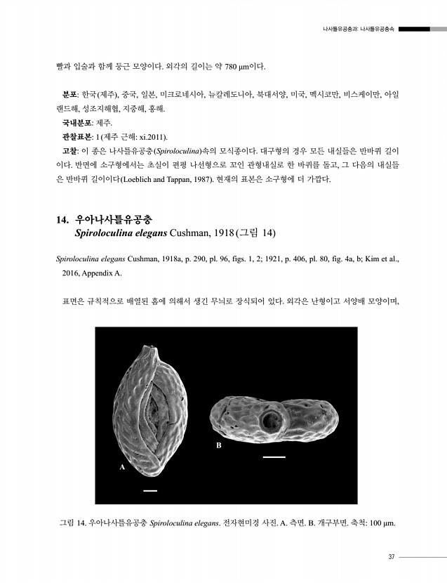 37페이지