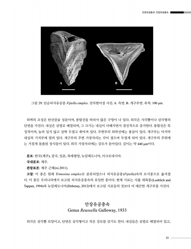 63페이지