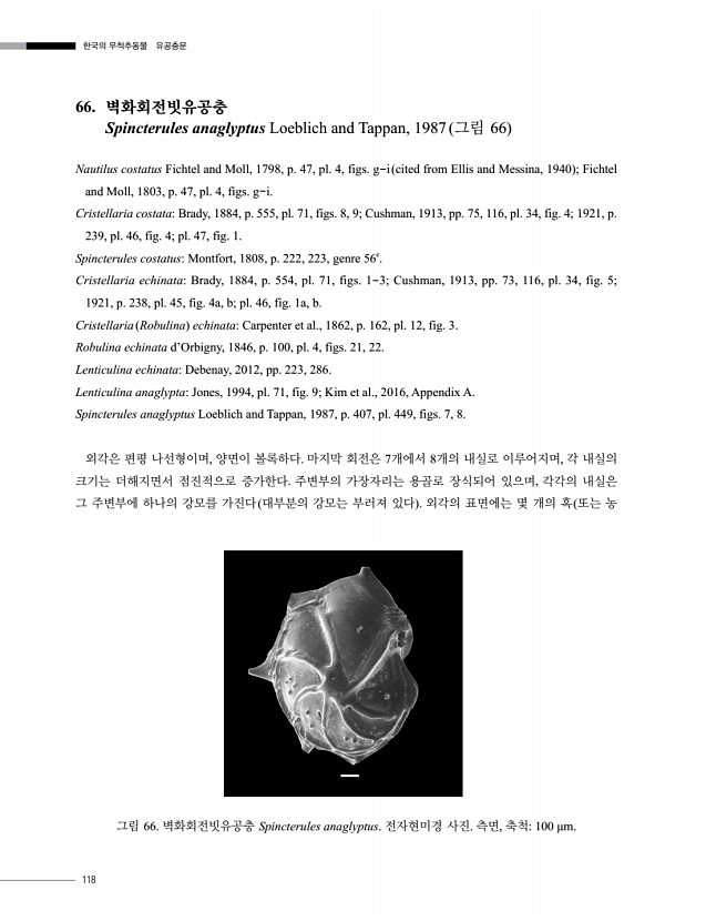 118페이지