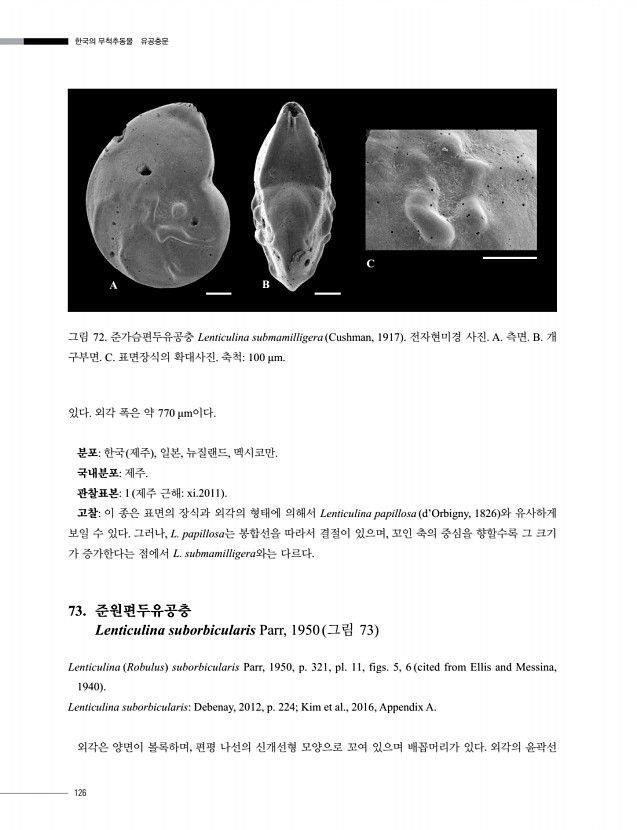 126페이지