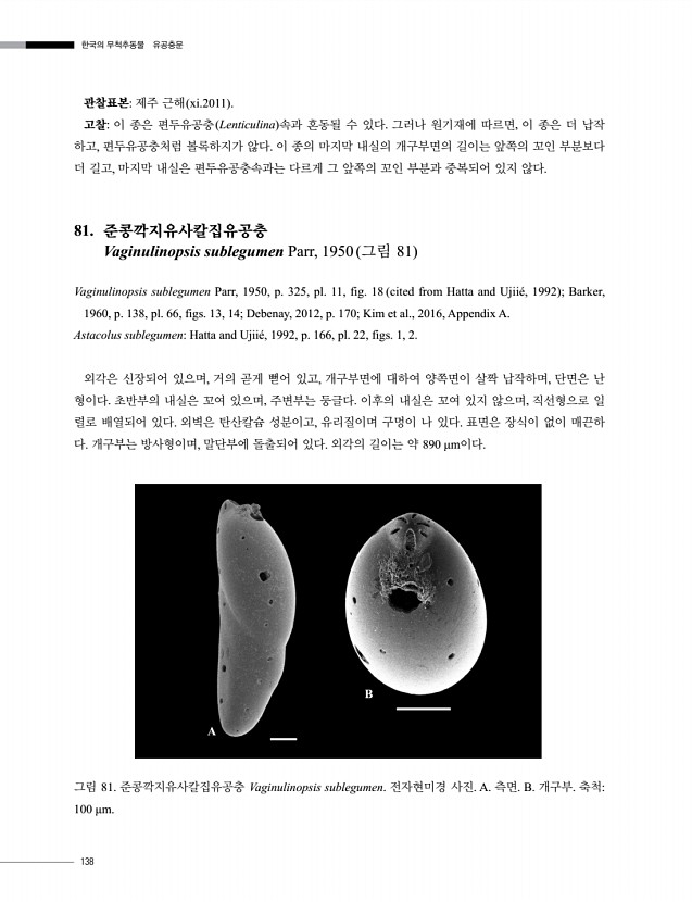 138페이지