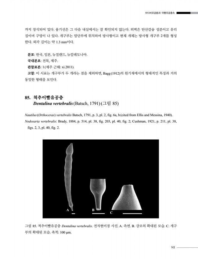 143페이지