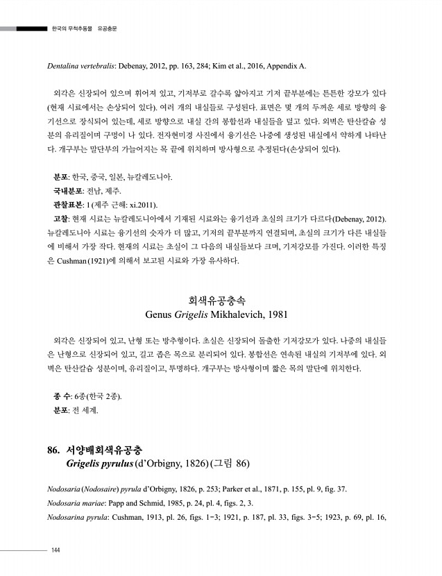 144페이지