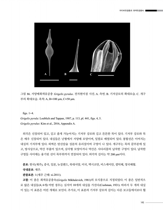145페이지