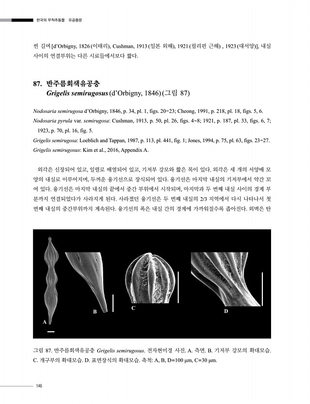 146페이지