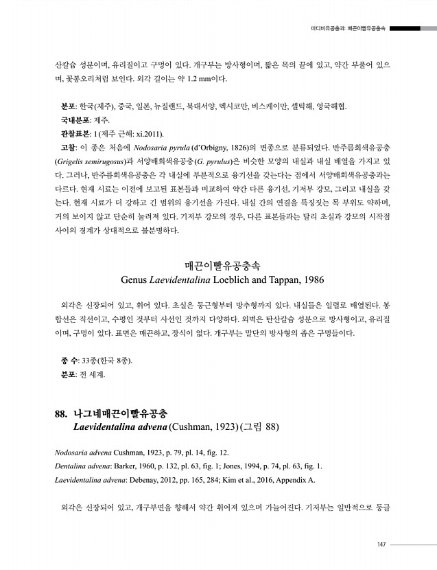 147페이지