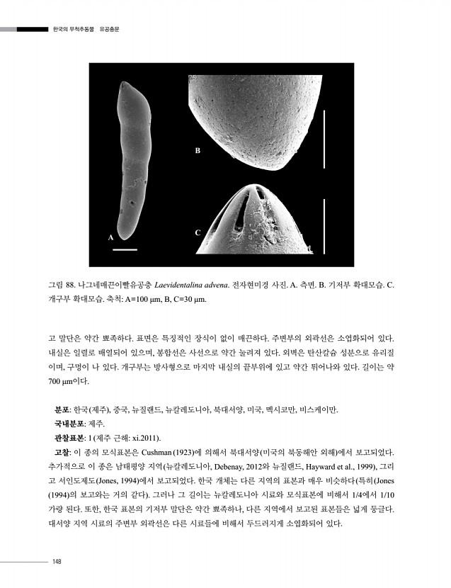 148페이지