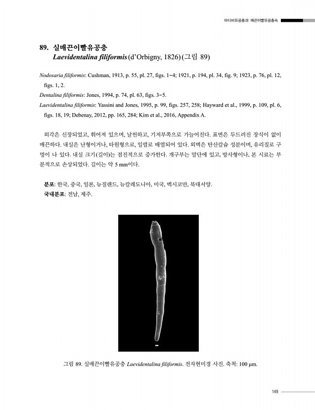 149페이지