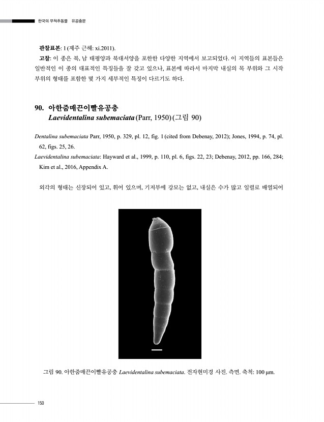 150페이지