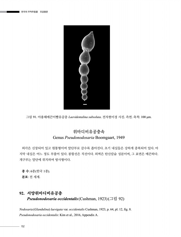 152페이지