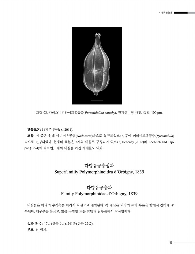 155페이지