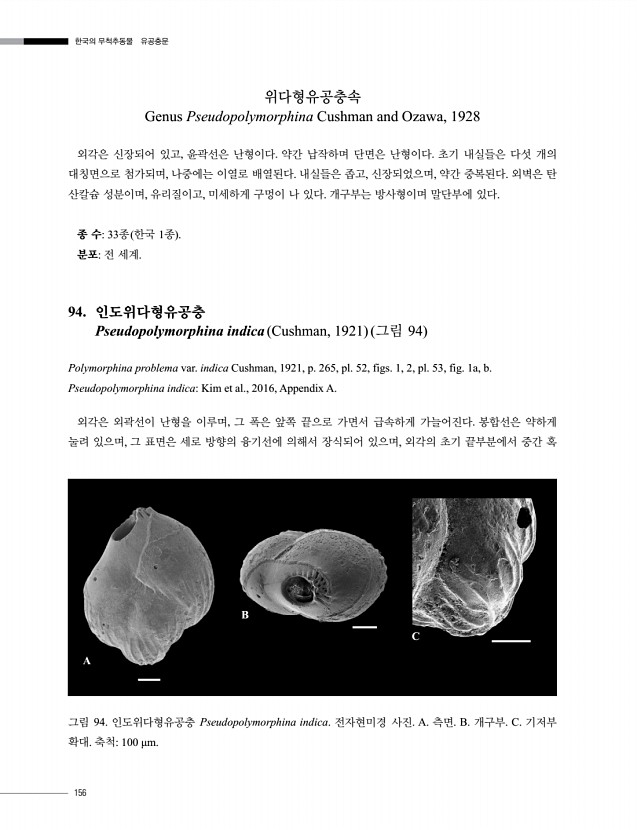 156페이지