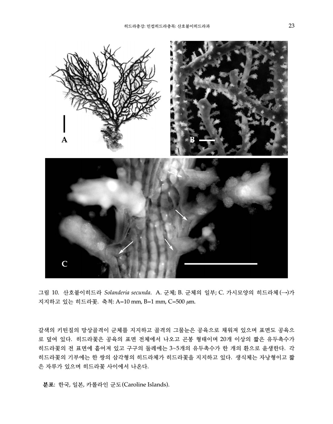 페이지