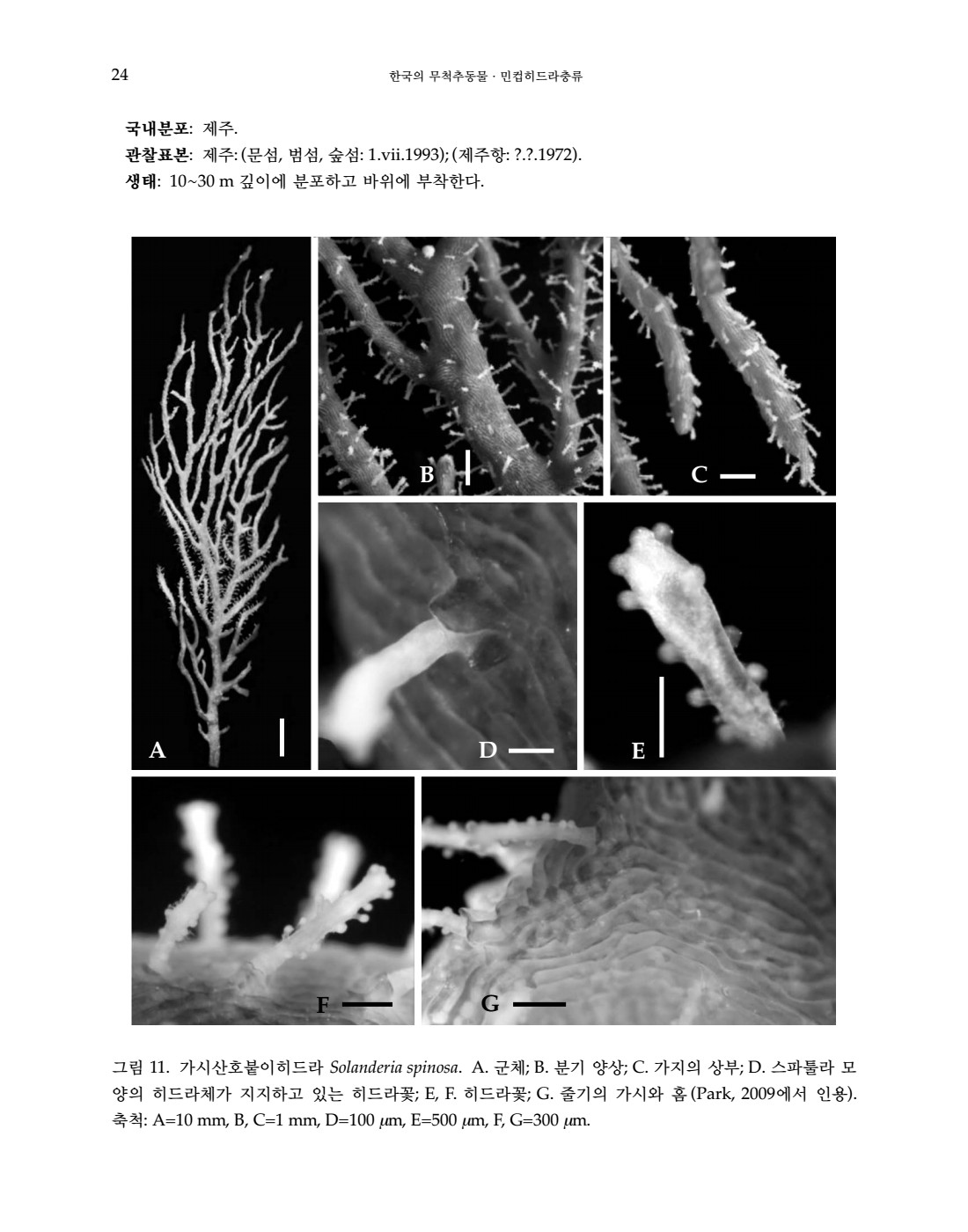 페이지