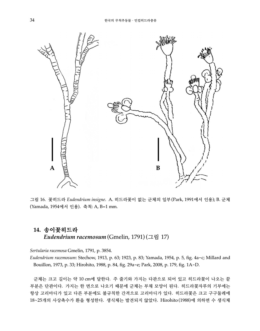 페이지