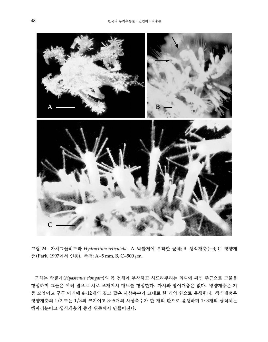 페이지