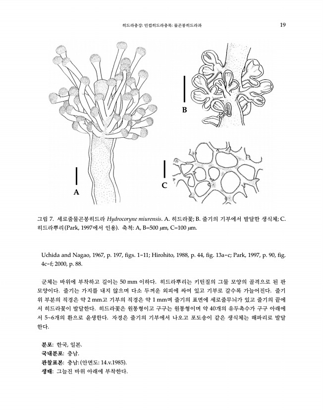 19페이지