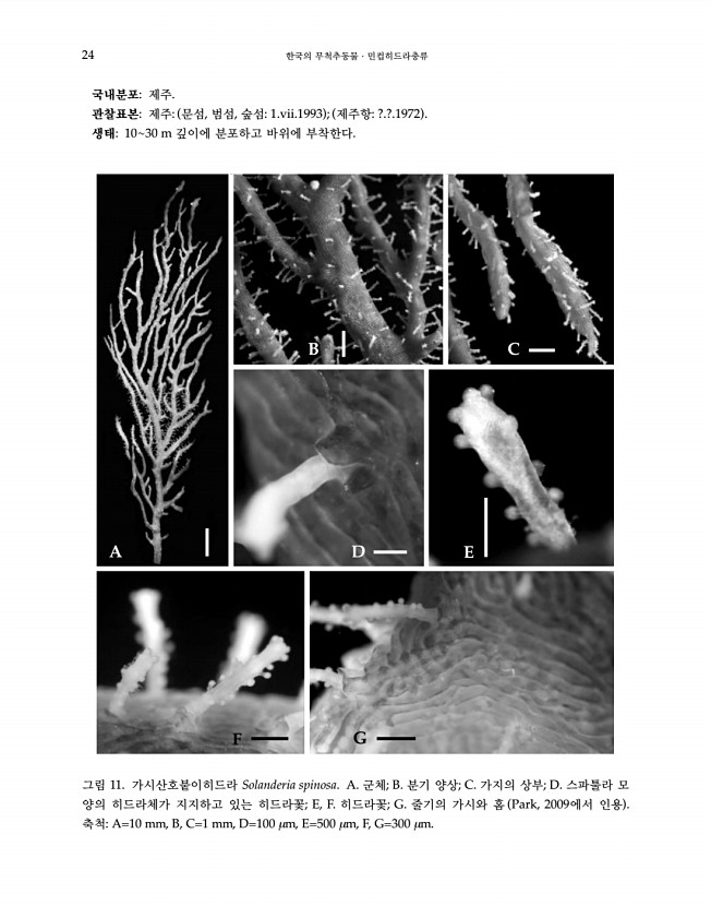 24페이지